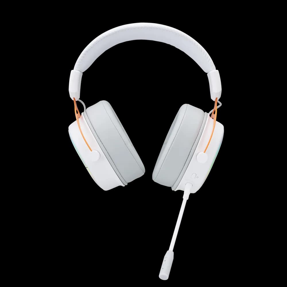 Rapoo VH800 2